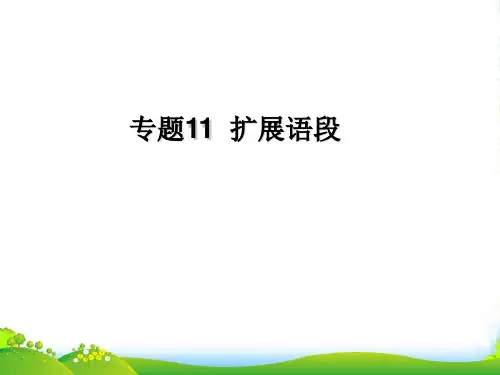 高考语文二轮复习 专题11 扩展语句 压缩语段课件 