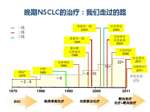 肺癌的分子靶向治疗ppt课件