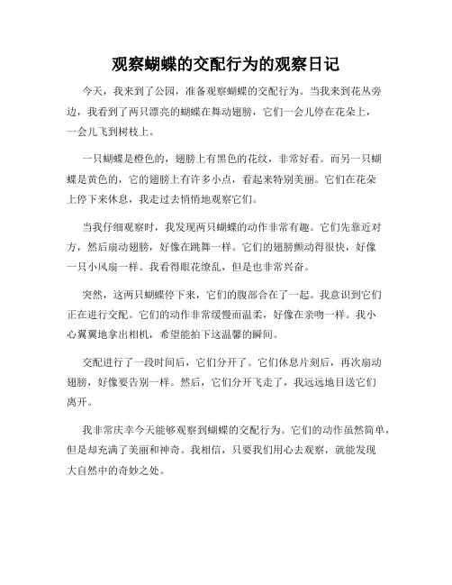 小学三年级作文观察蝴蝶的交配行为的观察日记