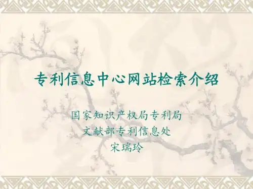 专利信息中心网站(宋瑞玲)