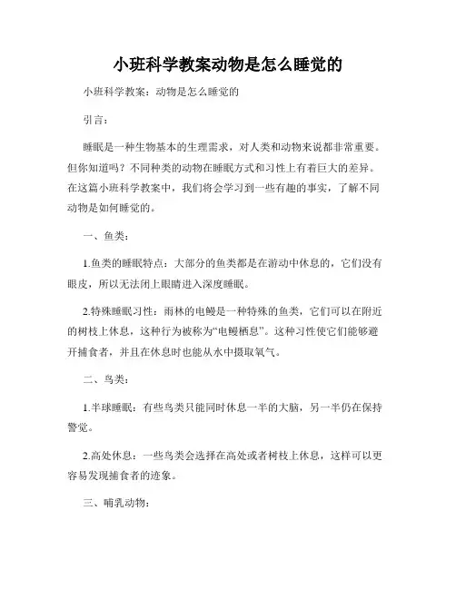 小班科学教案动物是怎么睡觉的