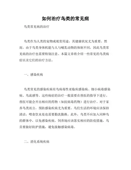 如何治疗鸟类的常见病