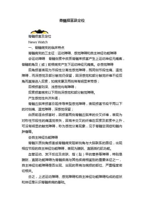 脊髓损害及定位