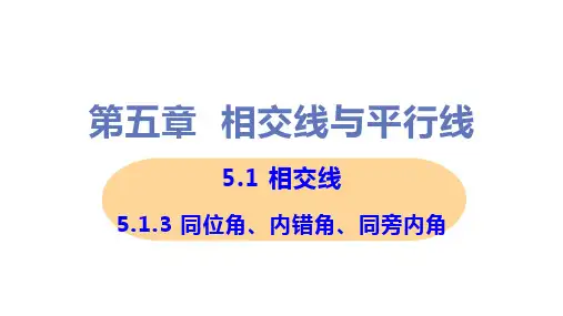 新华师大版七年级上册初中数学 5-1-3 三线八角 教学课件