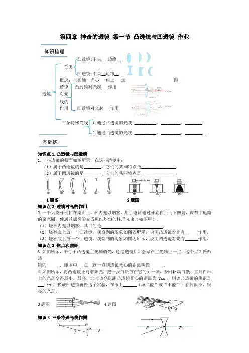 第四章 神奇的透镜 第一节 凸透镜与凹透镜 作业