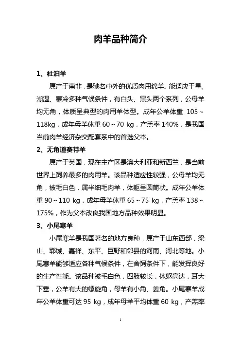 肉羊品种简介