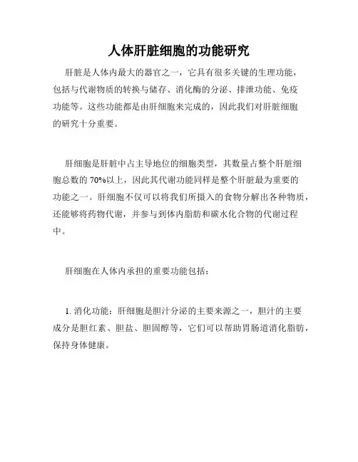 人体肝脏细胞的功能研究