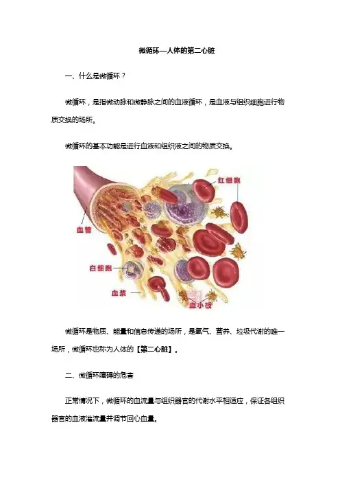 微循环--人体的第二心脏