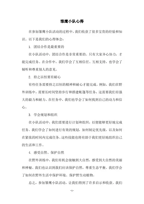 雏鹰小队心得