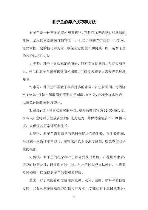君子兰的养护技巧和方法