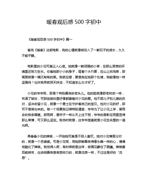 暖春观后感500字初中