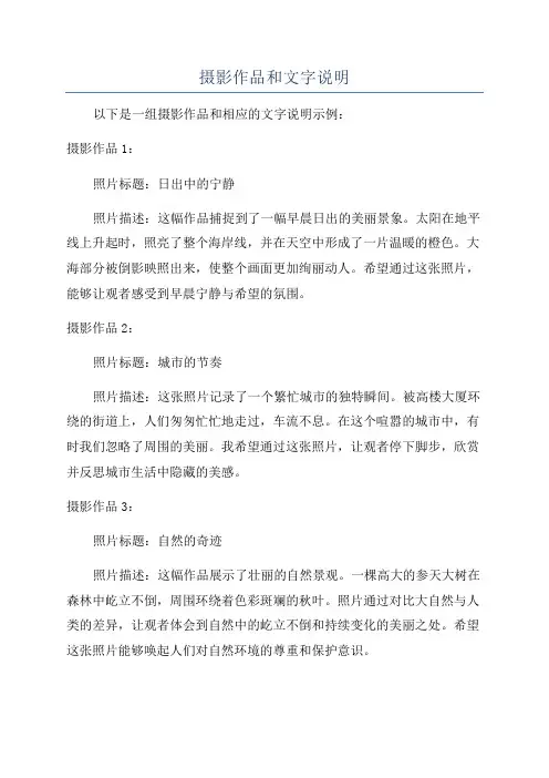 摄影作品和文字说明