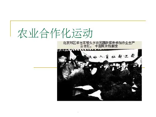 农业合作化运动ppt