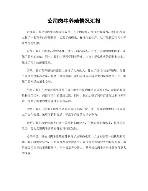 公司肉牛养殖情况汇报