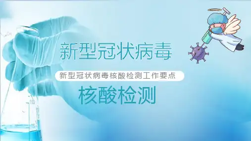 核酸检测PPT
