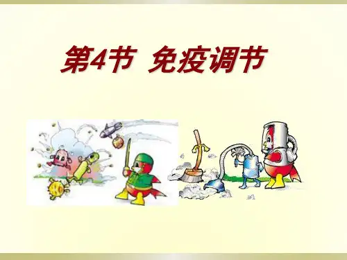 免疫调节(高中生物课件)