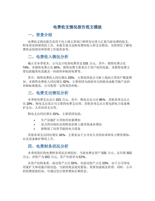 电费收支情况报告范文模板