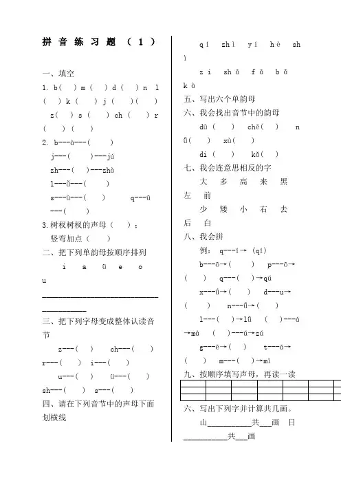 幼儿园大班拼音练习题