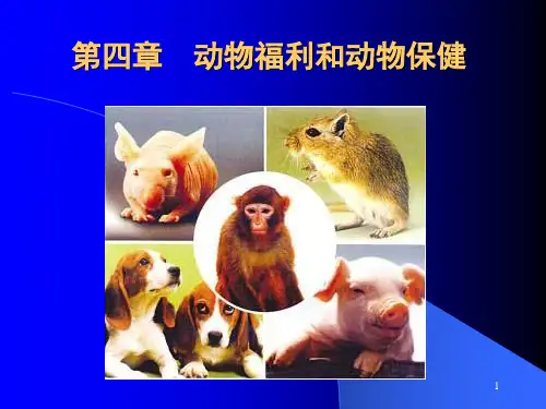 第四章  动物福利和动物保健
