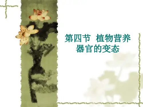 第四节--植物营养器官的变态讲课课件