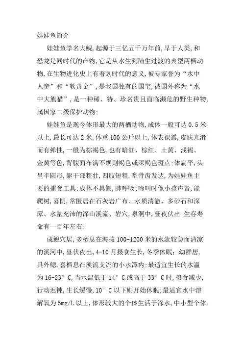 娃娃鱼简介