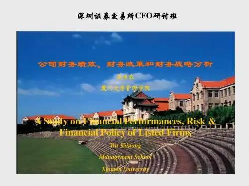 aag_1104_吴世农_公司财务绩效、财务政策及财务战略分析(ppt 145)