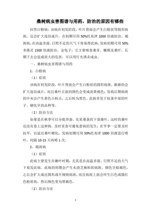桑树病虫害图谱与用药,防治的原因有哪些
