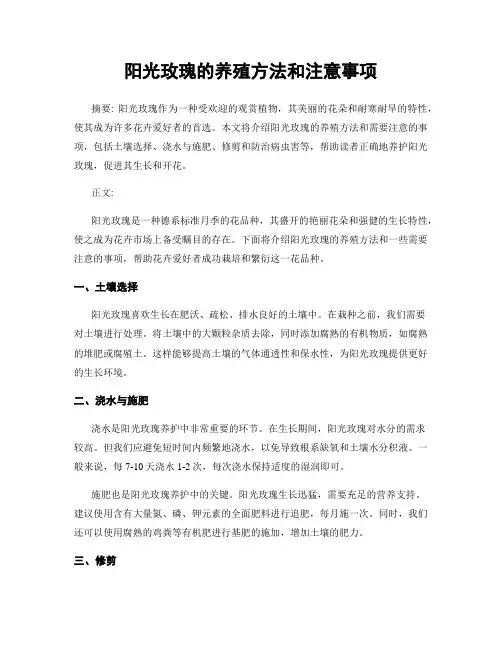 阳光玫瑰的养殖方法和注意事项