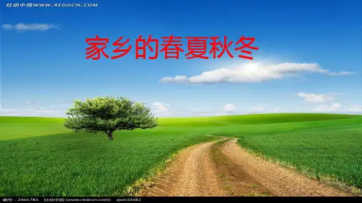 家乡的春夏秋冬PPT优秀课件