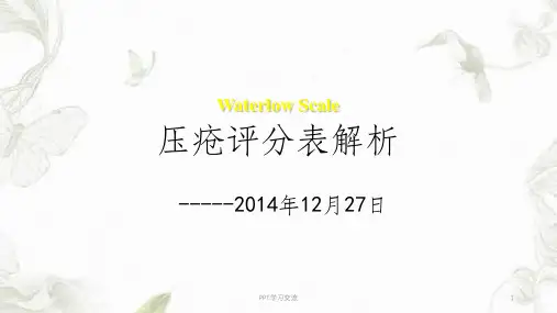 Waterlow Scale压疮评分表规范解析.ppt课件