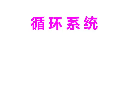 循环系统-心脏.ppt