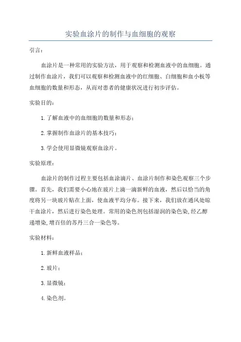 实验血涂片的制作与血细胞的观察