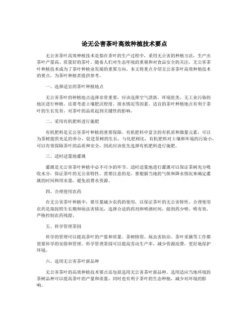 论无公害茶叶高效种植技术要点