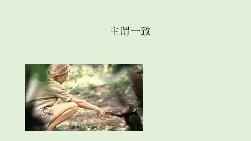 英语语法主谓一致PPT