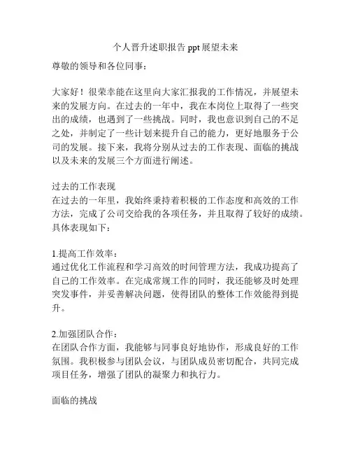 个人晋升述职报告ppt展望未来