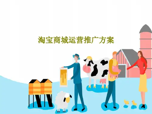 淘宝商城运营推广方案PPT共67页