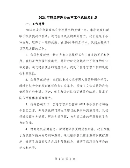 2024年应急管理办公室工作总结及计划