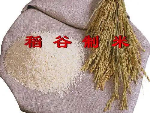 2、稻谷制米