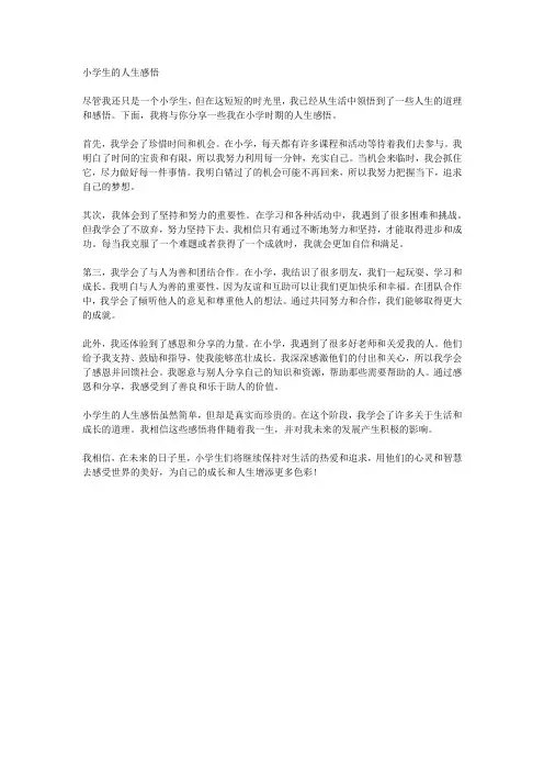 小学生的人生感悟