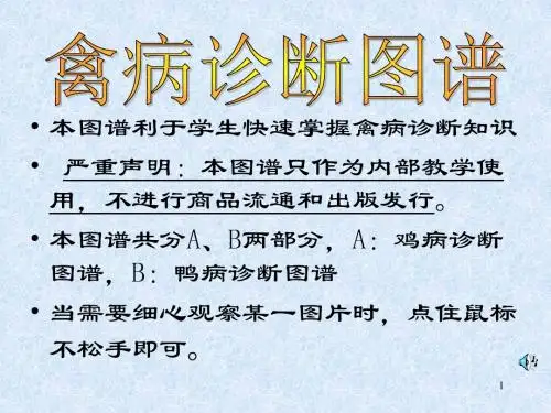 禽病图谱2-02.09.21
