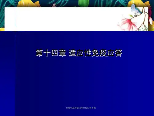 免疫学原理适应性免疫应答讲课