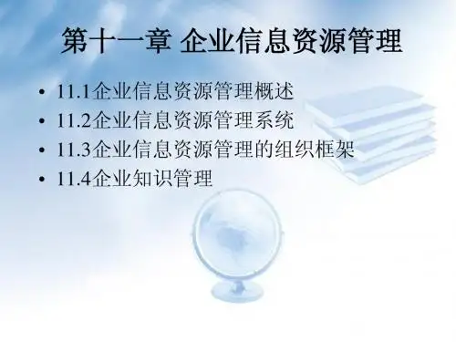 第十一章 企业信息资源管理