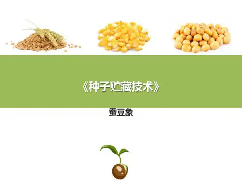 仓库有害生物及其防治—主要仓虫种类及生活习性
