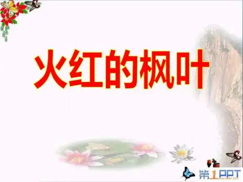 《火红的枫叶》PPT优秀课件3