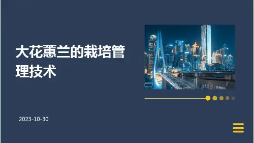 大花蕙兰的栽培管理技术