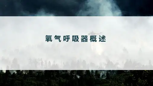 氧气呼吸器概述