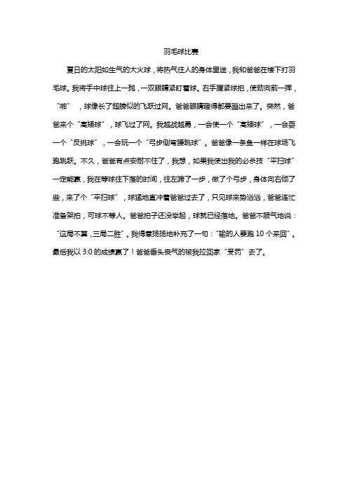 羽毛球比赛