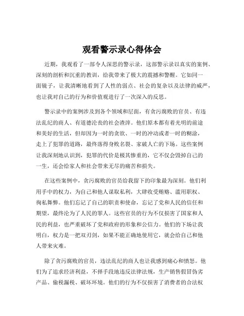 观看警示录心得体会