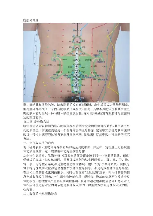 腹部神龟图