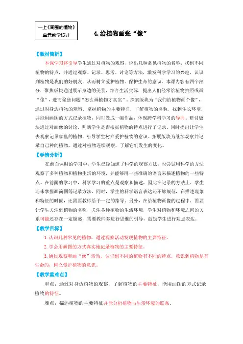 教科版(2024)一年级科学上册第一单元：1.4《给植物画张“像”》教学设计